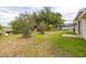 Grassy backyard with mature trees at 301 Wingdale Way, Davenport, FL 33897