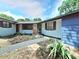 Inviting entrance with a walkway leading to the front door, complemented by fresh landscaping at 905 W 11Th Ave, Mount Dora, FL 32757