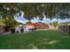 Expansive backyard boasts a pool, dining area, lush lawn, and shaded seating for outdoor living at 1007 Maya Ave, Orlando, FL 32822