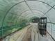 Spacious greenhouse, great for gardening with plastic and metal framework, perfect for planting and growing at 1081 Se 174Th Ter, Silver Springs, FL 34488