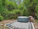Inviting hot tub set on a decorative rug surrounded by lush greenery providing a private backyard oasis at 1081 Se 174Th Ter, Silver Springs, FL 34488