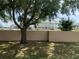 Backyard featuring green grass and a beige wall surrounded by trees at 13226 Galicia St # 103, Orlando, FL 32824