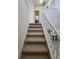 Carpeted staircase leading to the upper level of a home, featuring white railing and trim at 16043 Scarpetta St, Winter Garden, FL 34787