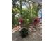 Lush tropical landscaping adds to the home's curb appeal, complemented by rock accents at 2943 Annalee Rd, St Cloud, FL 34771