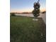 A mature tree is planted in the backyard with a border of rocks around it at 748 Citrus Isle Dr, Davenport, FL 33837
