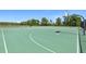 Community basketball court with green surface, white lines, and multiple hoops at 12379 Turtle Grass Dr, Orlando, FL 32824