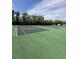 Well-maintained community tennis courts available for recreational use at 1407 Water Lilly Ln, Kissimmee, FL 34744