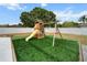 Playground with a slide and swing set on an artificial grass, perfect for ' fun at 1700 E Clinton Dr, St Cloud, FL 34769