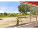 View of a large backyard with natural landscaping, seen from screened lanai at 318 Highland Meadows Dr, Davenport, FL 33837