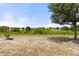 An expansive backyard featuring a healthy tree in the grass area, perfect for outdoor activities at 318 Highland Meadows Dr, Davenport, FL 33837