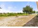 Expansive backyard with developing grass, several young trees and bordered by natural Florida foliage at 318 Highland Meadows Dr, Davenport, FL 33837