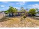 Backyard featuring a lush garden and small trees, providing a serene and natural setting at 407 S Lakemont Ave, Winter Park, FL 32792