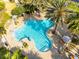 Aerial view of community pool, surrounded by palm trees, lounge chairs, and umbrellas at 433 Via Abruzzi St, Kissimmee, FL 34759