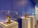 Artifacts are displayed along the blue wall inside light-up glass cases on pedestals at 4473 Kaipo Rd, Davenport, FL 33897