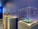 Showcasing a collection of artistic displays under well-lit cases against a vibrant blue backdrop at 4473 Kaipo Rd, Davenport, FL 33897