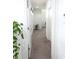 Bright hallway with neutral carpet and white walls, enhanced by natural light and indoor plants at 6617 Harper Way, Harmony, FL 34773