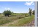 View of backyard, showcasing the landscaping and privacy at 721 Drop Shot Dr, Davenport, FL 33896