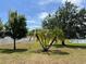 Beautiful backyard showcasing lush greenery with palm trees and scenic lake views on a sunny day at 3638 Doe Run Dr, St Cloud, FL 34772