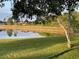 Beautiful backyard view overlooking the pond and a clear view of surrounding houses at 3638 Doe Run Dr, St Cloud, FL 34772