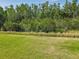 Expansive backyard showcasing lush greenery and a tranquil natural setting at 819 San Raphael St, Kissimmee, FL 34759