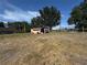 Outdoor shed structure sits in a large open backyard, offering extra storage at 98 Orange Park Blvd, Lake Wales, FL 33898
