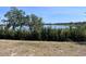 The lake view overlooks the water with trees on the water's edge and a grassy foreground at 1321 Yorkdale Rd, Davenport, FL 33837