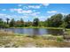 A serene view of the community pond surrounded by lush trees offers peaceful scenery at 2821 Cathy Blvd, Winter Haven, FL 33880