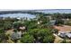 Scenic aerial view of luxury homes nestled among lush trees near a picturesque lake, offering a tranquil waterfront living experience at 3328 Wax Berry Ct, Windermere, FL 34786