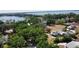 Scenic aerial view of luxury homes nestled among lush trees near a picturesque lake, offering a tranquil waterfront living experience at 3328 Wax Berry Ct, Windermere, FL 34786