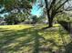 Large backyard with mature trees and lush greenery, offering privacy and space at 3328 Wax Berry Ct, Windermere, FL 34786