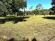Expansive backyard with mature trees and plenty of space for outdoor activities at 3328 Wax Berry Ct, Windermere, FL 34786