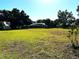 Expansive backyard with mature trees and plenty of space for outdoor activities at 3328 Wax Berry Ct, Windermere, FL 34786