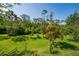 Expansive backyard featuring lush green lawn and mature trees providing privacy at 3890 Prairie Reserve Blvd, Orlando, FL 32824