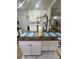 A marble countertop kitchen island with white cabinetry creates a delightful workspace for cooking and entertaining at 455 E Palmetto Ave, Longwood, FL 32750