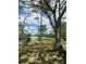 Scenic backyard featuring a serene lake view, lush greenery, and mature trees, perfect for outdoor relaxation at 225 Ronnie Cir, Orlando, FL 32811