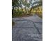 Long cracked concrete driveway lined with mature trees leads to the property at 6419 Lakeville Rd, Orlando, FL 32818