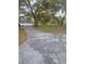 Mature trees and a long cracked concrete driveway enhances the front yard at 6419 Lakeville Rd, Orlando, FL 32818