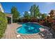 Beautifully landscaped backyard pool featuring a stone patio, lush tropical foliage, privacy landscaping and a privacy fence at 1116 Oak Pond Dr, Celebration, FL 34747