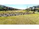 Manicured lawn with garden plots framed by sidewalks in a beautiful neighborhood with well kept homes at 11688 Founders St, Orlando, FL 32832