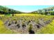 Expansive community green space lined with homes, perfect for outdoor activities and neighborhood gatherings at 11688 Founders St, Orlando, FL 32832