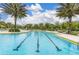 A stunning lap swimming pool with palm trees and lounge chairs, perfect for relaxation at 17324 Bracken Fern Ln, Clermont, FL 34714