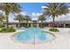 A stunning zero entry swimming pool with palm trees, perfect for relaxation and fun at 17324 Bracken Fern Ln, Clermont, FL 34714