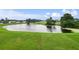 Picturesque view of the pond surrounded by green grass and trees in the backyard at 1976 The Oaks Blvd, Kissimmee, FL 34746