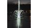 Night view of a beautiful fountain illuminated over the lake with lights reflecting in the water at 3298 Stratton Cir, Kissimmee, FL 34744