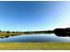 Beautiful lake view with calm waters, lush greenery and a clear blue sky, highlighting the tranquil surroundings at 15851 Woodland Spring Ct, Orlando, FL 32828