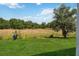 Spacious backyard with lush green grass and a view of the surrounding natural beauty, perfect for outdoor enjoyment at 2281 Canyon Breeze Ave, Kissimmee, FL 34746