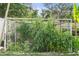 Back yard featuring a flourishing organic garden filled with tomato plants and other vegetables, surrounded by a white fence at 3084 Slough Creek Dr, Kissimmee, FL 34744