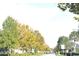 Tree lined street with well-manicured landscaping at 3214 Rio Grande Trl # 1, Kissimmee, FL 34741