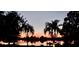 Sunset over the lake with palm trees and boats creating a picturesque scene at 430 Bywater Dr, Orlando, FL 32839
