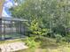 Screened pool with lush backyard scenery at 671 Carey Way, Orlando, FL 32825